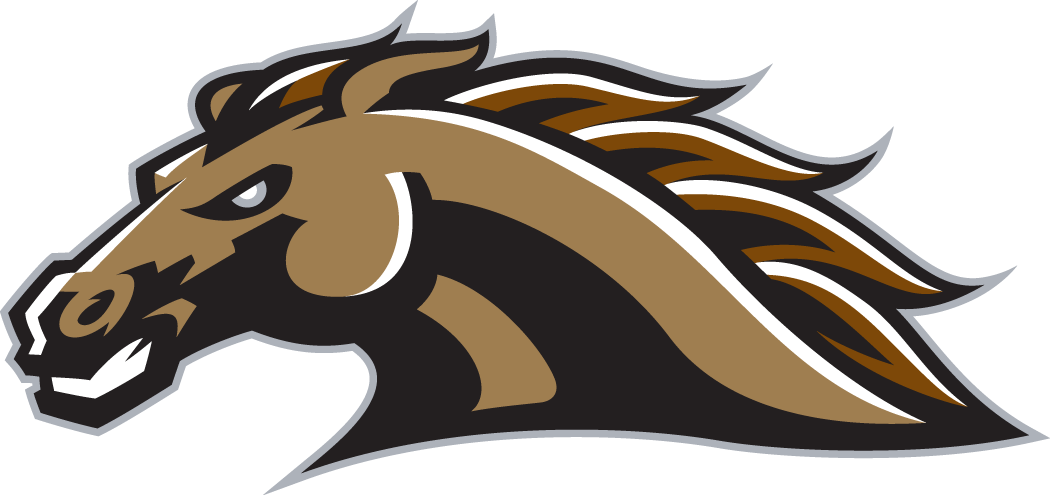 Western Michigan Broncos 1998-Pres Secondary Logo diy iron on heat transfer